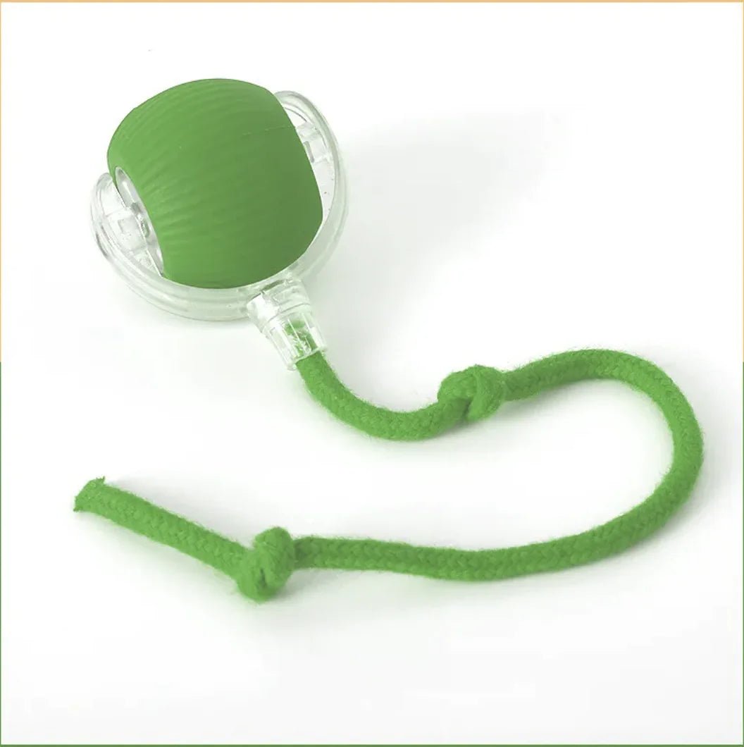 Pounce & Play Cat Balls - Nimblet