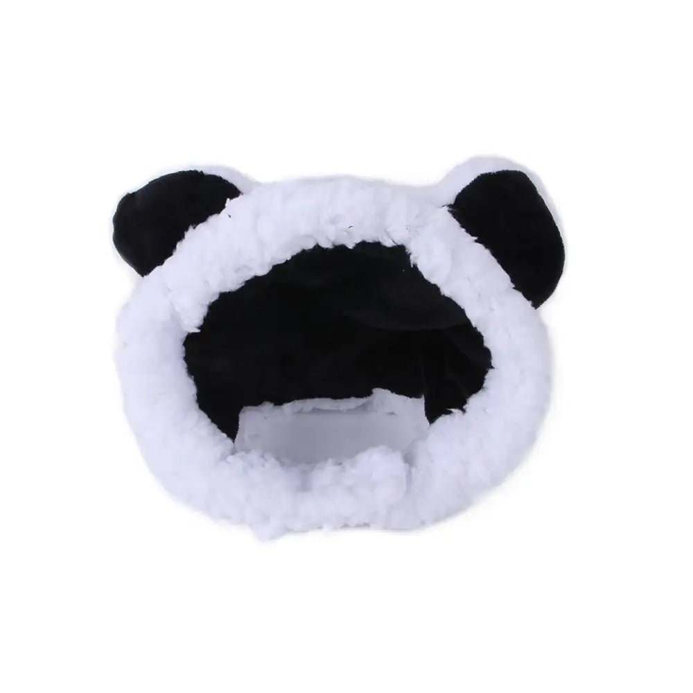 Beary Cute Cat Hat - Nimblet