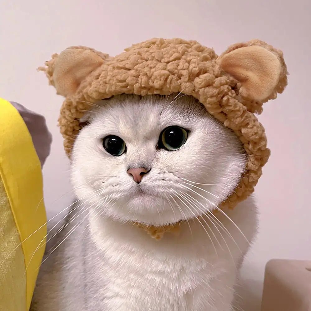 Beary Cute Cat Hat - Nimblet