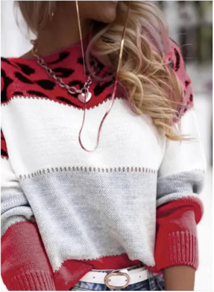 Leopard Print Color - Block Sweater - Nimblet