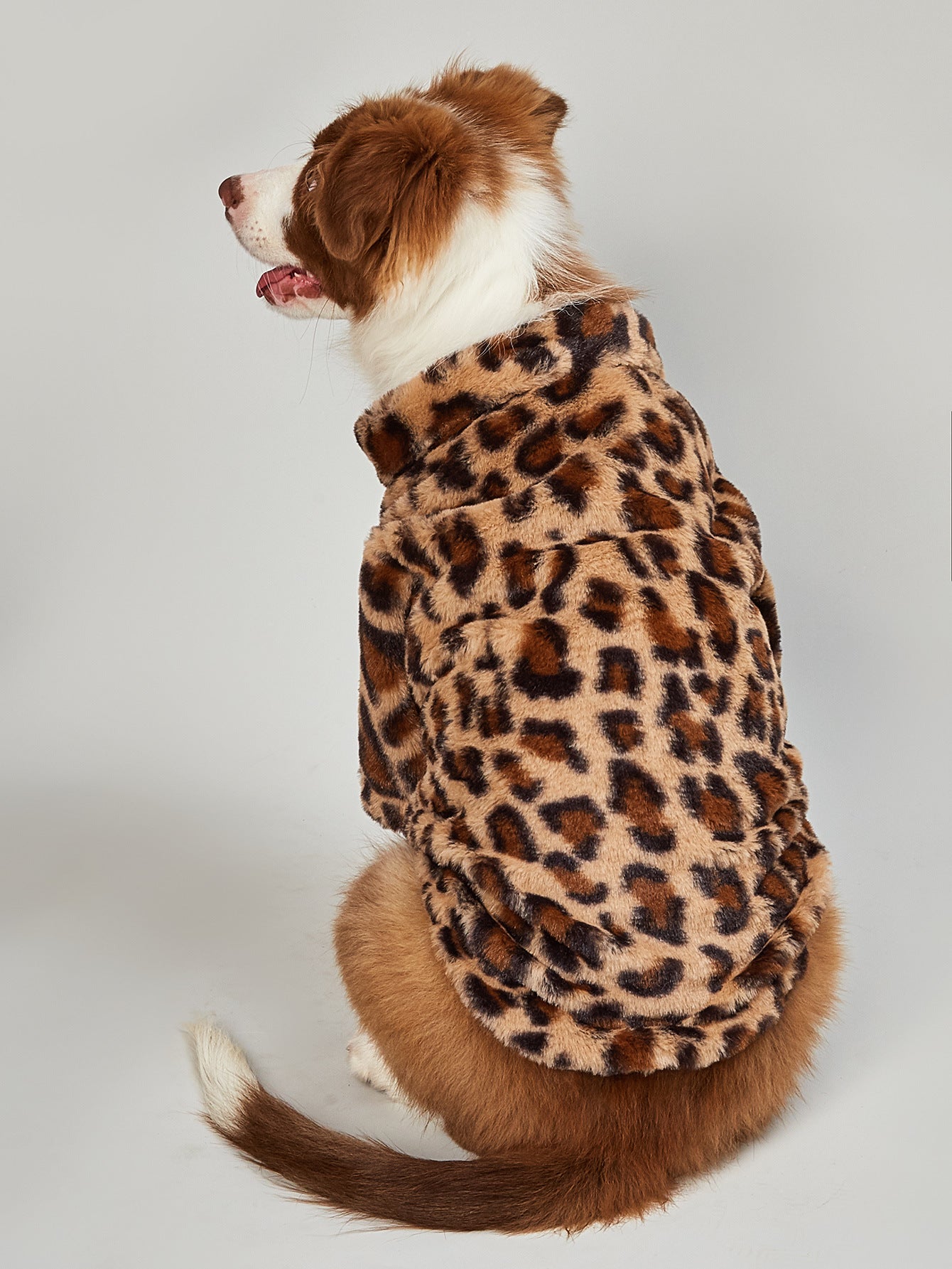Pawsh Leopard Dog Jacket - Nimblet