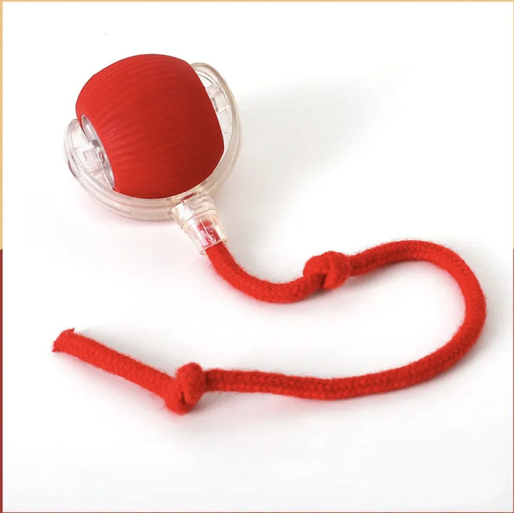 Pounce & Play Cat Balls - Nimblet