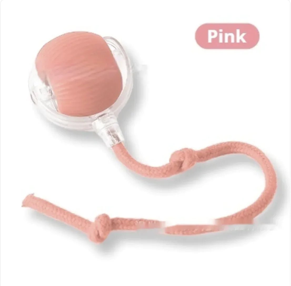 Pounce & Play Cat Balls - Nimblet