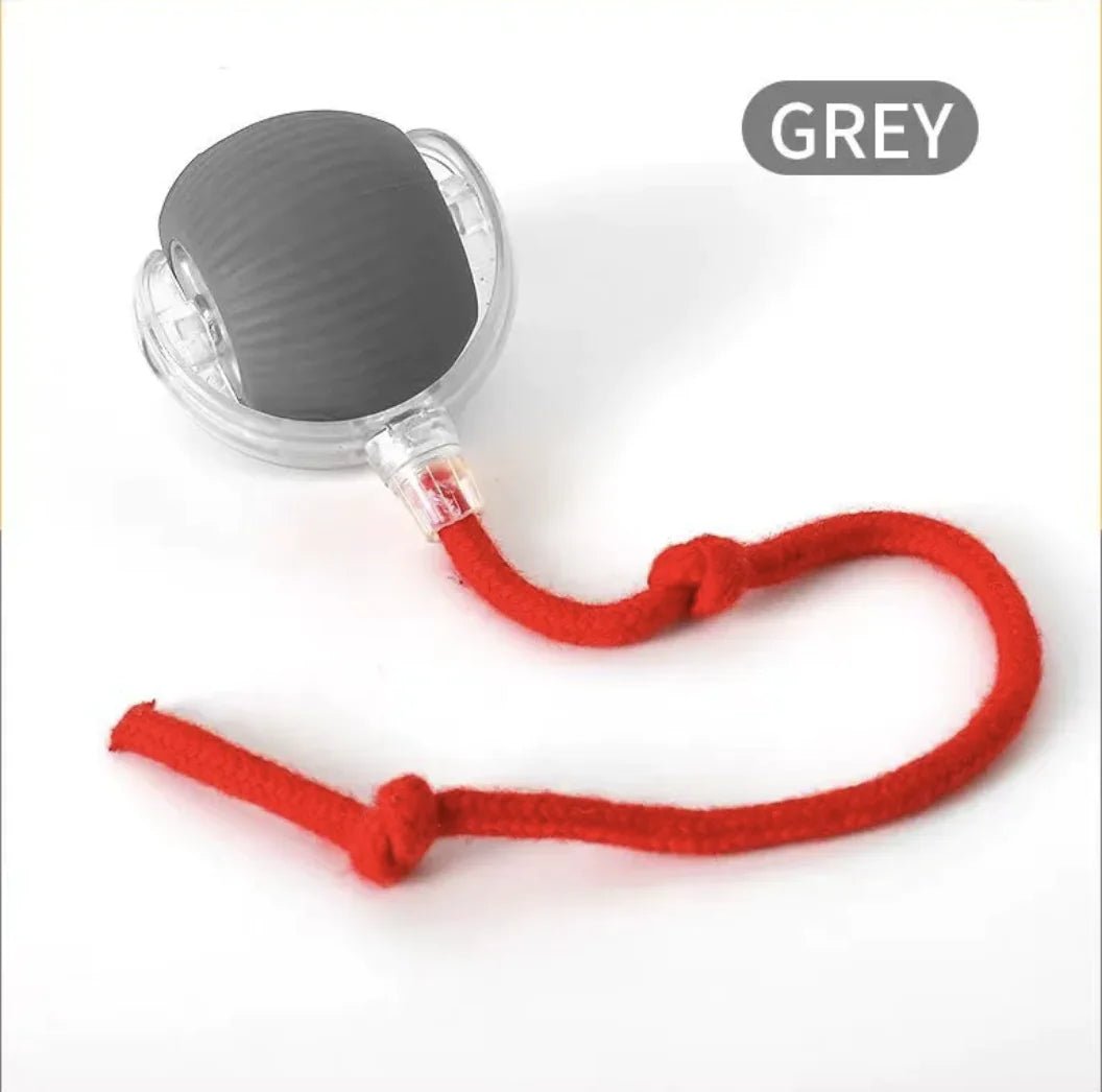 Pounce & Play Cat Balls - Nimblet